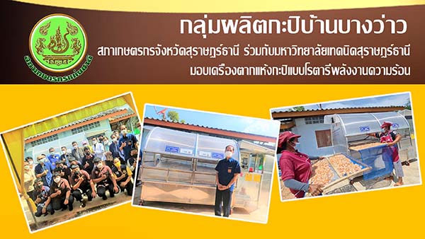 กลุ่มผู้ผลิตกะปิ บ้านบางว่าว