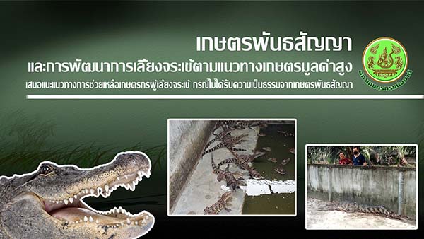 เกษตรพันธสัญญา